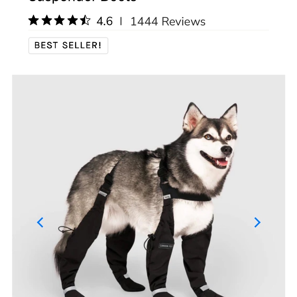 Canada Pooch Dog Suspender Boots - Size 4 Short